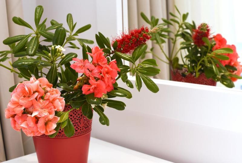 גאוביה Palapart Gikas Suites And Studios מראה חיצוני תמונה